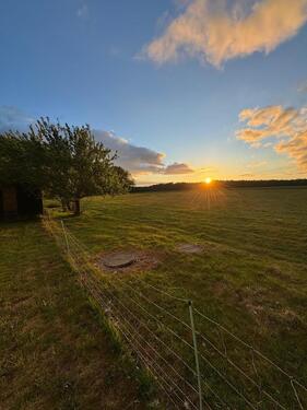 Foto - Ganzjahres- oder Sommerweide für Pferde in Groß Ippener – 1ha