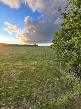 Foto - Grundstück zur Miete in Harpstedt