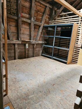 Foto - andere in Weilrod