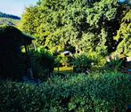 Foto - Kleingarten abzugeben - 500,00 EUR Kaltmiete, ca.  0,00 m²