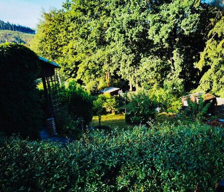 Foto - Kleingarten abzugeben - 500,00 EUR Kaltmiete, ca.  0,00 m²