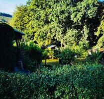 Kleingarten abzugeben - 500,00 EUR Kaltmiete, ca.  0,00 m² in Zschopau (PLZ: 09405)