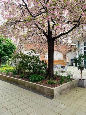Foto - 1 Zimmer Etagenwohnung zum Kaufen in Berlin