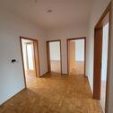 Foto - Etagenwohnung in Kassel zur Miete