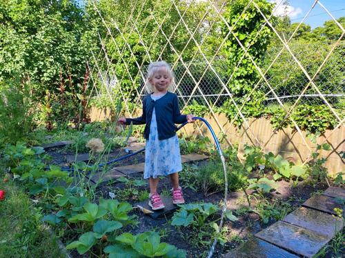 Foto - Gemeinschaftsgarten - 60,00&nbsp;EUR Kaltmiete, ca.&nbsp; 0,00&nbsp;m&sup2;