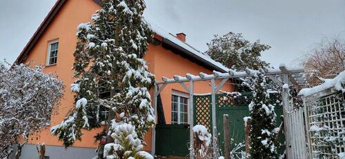 Foto - Einfamilienhaus mit Garten in Bruchstedt