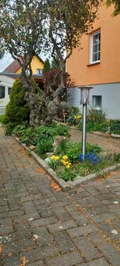 Foto - Einfamilienhaus in Herbsleben zum Kaufen