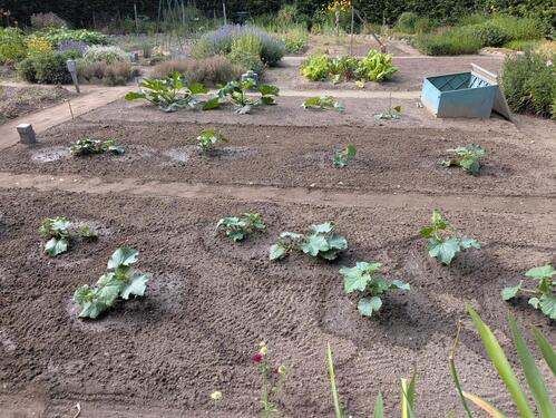 Foto - Einfamilienhaus in Bad Freienwalde (Oder)