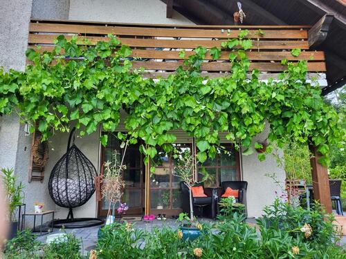 Foto - Einfamilienhaus zum Kaufen in Weißenbrunn