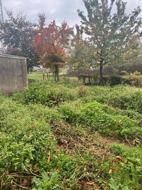 Foto - Grundstück in Heinsberg