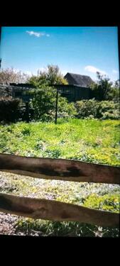 Foto - 5 Zimmer Bungalow in Niederwörresbach