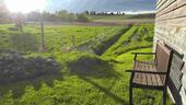 Foto - andere in Joachimsthal zur Miete