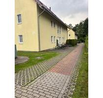 Uninahe gepflegte 2 5-Zimmer-EG-Wohnung mit Einbauküche - Oldenburg Bloherfelde