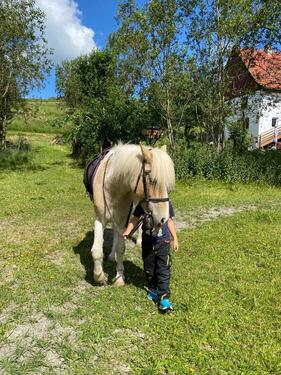 Foto - Pferdehof mit 1,5h arr. Land zu verk.