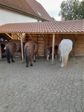 Foto - 6 Zimmer Bauernhaus, Landhaus zum Kaufen in Stockach