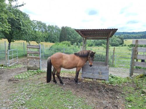 Foto - 6 Zimmer Bauernhaus, Landhaus in Stockach