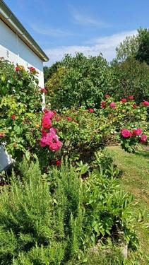 Foto - Einfamilienhaus in Reichertsheim