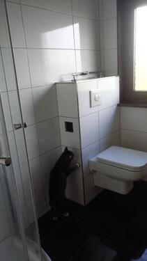 Foto - 3 Zimmer Einfamilienhaus in Thalfang