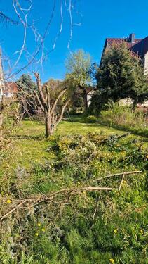 Foto - Einfamilienhaus in Bleicherode zum Kaufen