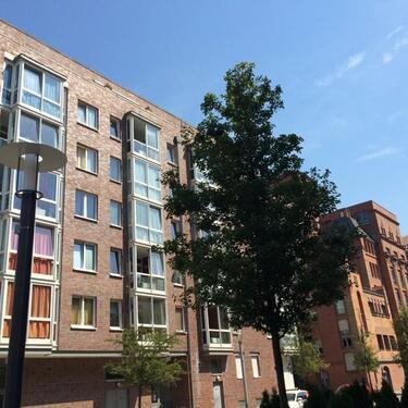 Foto - Mietbeginn ab 20.10.2025 möglich!