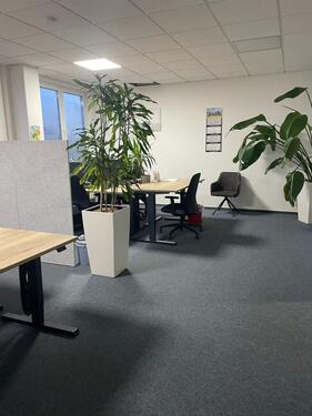 Foto - andere in Admannshagen-Bargeshagen zur Miete