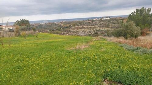 Foto - 2 Zimmer Einfamilienhaus zum Kaufen in Ulm