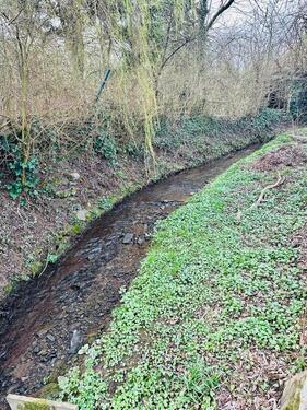 Foto - Grundst&uuml;ck in Frankfurt am Main