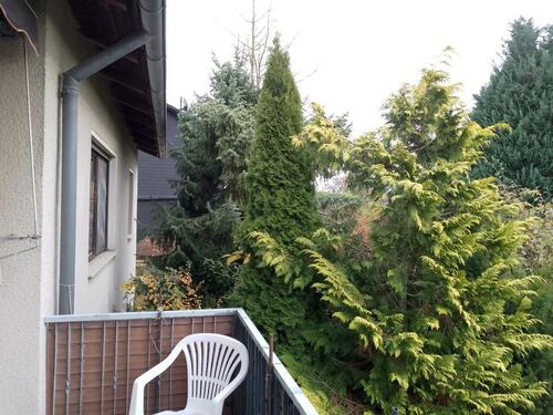 Foto - 5 Zimmer Einfamilienhaus zum Kaufen in Ahnatal