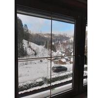 Ferienwohnung auch für Monteure geeignet - Katzhütte