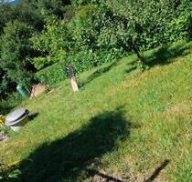 Pachtgarten, Garten, Kleingarten - Meiningen