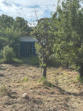 Foto - Kleingarten zur Pacht in Schwerin Neumühle
