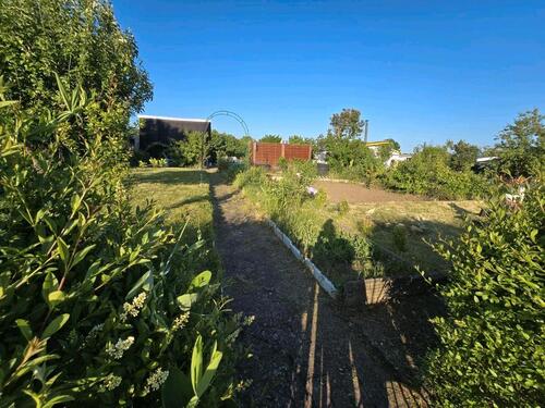 Foto - Pachtgarten in Gotha KGV 'Inselsbergblick' abzugeben