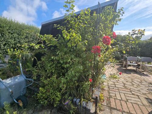 Foto - Grundstück in Gotha