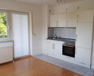 Helle Einzimmerwohnung mit 5 Stellplätzen in Ingelheim - Ingelheim am Rhein