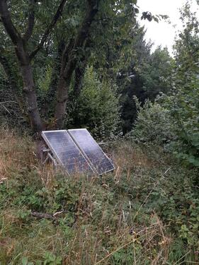 Foto - Einfamilienhaus in Witzenhausen zum Kaufen