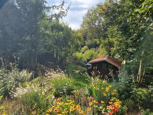 Foto - Einfamilienhaus zum Kaufen in Kirchberg