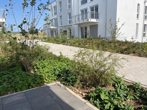 Foto - Moderne 2-Zimmer-Wohnung in Hargesheim mit Terrasse und Tiefgaragenstellplatz
