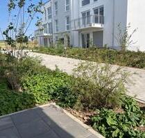 Moderne 2-Zimmer-Wohnung in Hargesheim mit Terrasse und Tiefgaragenstellplatz
