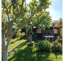 Ruhig gelegenes Grundstück zur individuellen Nutzung im Grünen - Küstriner Vorland