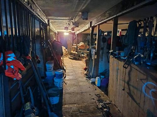 Foto - andere in Osnabrück