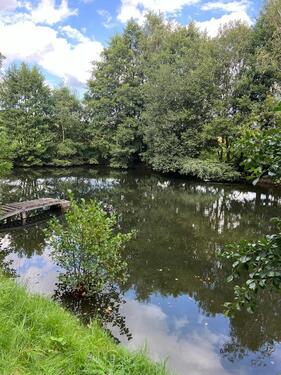 Foto - Grundst&uuml;ck zur Miete in Jessen (Elster)
