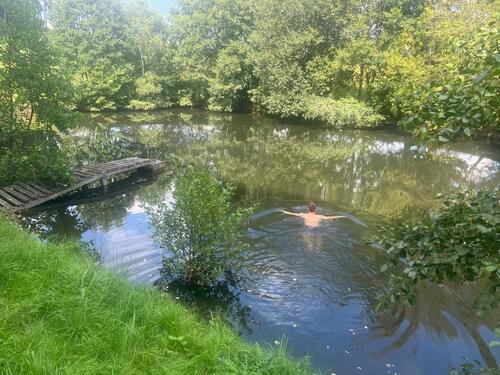 Foto - Grundst&uuml;ck in Jessen (Elster)