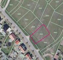 Baugrundstück e (2) 937 und 879 m2 erschlossen Haldensleben