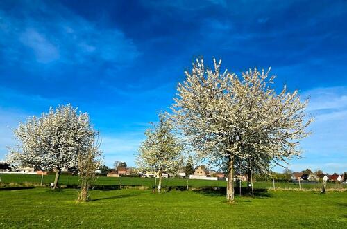 Foto - andere zur Miete in Bedburg