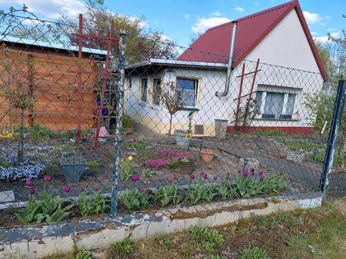 Foto - Pachtgarten in Kleingartenanlage