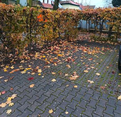 Foto - Stellplatz in Süd Ingolstadt - 40,00 EUR Miete,