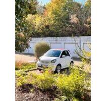 PKW- Stellplatz nähe Kreisverwaltung - Landau in der Pfalz