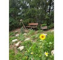 Schöner Naturgarten in Zeitz abzugeben