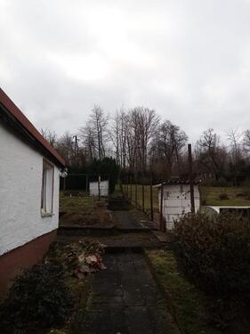 Foto - Einfamilienhaus in Eisleben (Lutherstadt) zum Kaufen