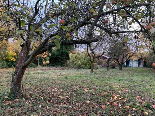Foto - Grundst&uuml;ck in Hettstedt